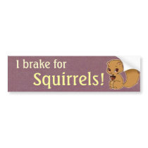 I Brake for Squirrels Bumper Sticker bumper stickers