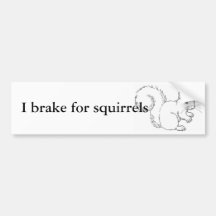 I brake for squirrels bumper stickers