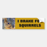 I BRAKE FOR SQUIRRELS BUMPER STICKERS