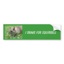 I Brake for Squirrels, featuring "Clicker" bumper stickers by lovemydogs22 I Brake for Squirrels, featuring "Clicker" bumper stickers