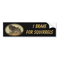 I Brake for Squirrels featuring "Summer" bumper stickers by lovemydogs22 I Brake for Squirrels featuring "Summer" bumper stickers