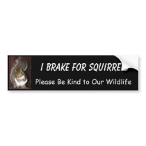 I Brake for Squirrels featuring "Summer" bumper stickers by lovemydogs22 I Brake for Squirrels featuring "Summer" bumper stickers