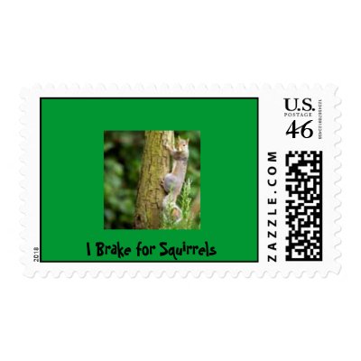 I Brake for Squirrels Postage