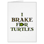 I Brake For Turtles 1
