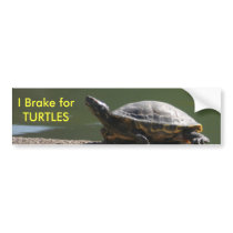 I Brake for TURTLES Bumper Sticker