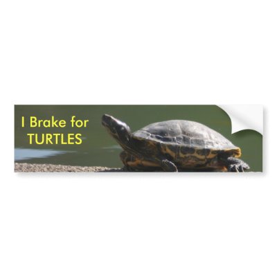 I Brake for TURTLES Bumper Sticker
