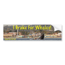 I Brake For Whales Santa Cruz Bumper Sticker