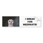 I Break for Meerkats! Bumper Sticker