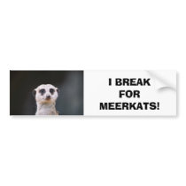 I Break for Meerkats! Bumper Sticker bumper stickers by aestheticchaos I Break for Meerkats! Bumper Sticker bumper stickers