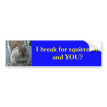 I break for squirrels...and YOU? bumper stickers by ribizlifozelek I break for squirrels...and YOU? bumper stickers