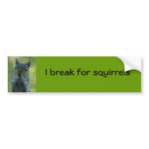 I break for squirrels bumper stickers by ribizlifozelek I break for squirrels bumper stickers
