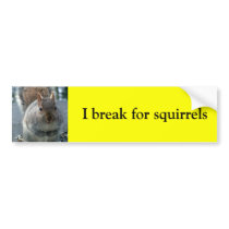 I break for squirrels bumper stickers by ribizlifozelek I break for squirrels bumper stickers