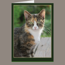 I came... I purred cards by Jack_of_Arts I came... I purred cards