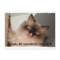 I CAN BE NAUGHTY OR NICE postcards