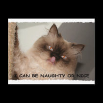 I CAN BE NAUGHTY OR NICE postcards