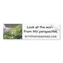 I Can Eatz This? perspective bumper sticker