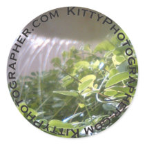 I Can Eatz This? sticker