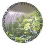I Can Eatz This? sticker