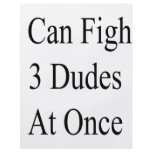 I Can Fight 3 Dudes At Once flyers