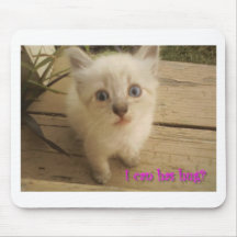 I can has hug?  Cute kitty. Mouse Pads