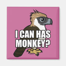 I Can Has Monkey? Fridge Magnets