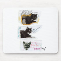 i can haz mouse pad mousepads
