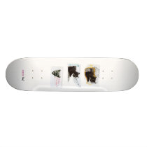 i can haz skateboards skateboards