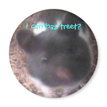 i can haz treet? magnets