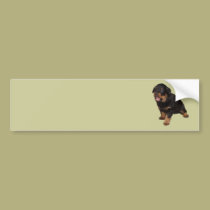 I Can See You bumper stickers