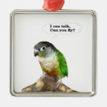 I can talk, can you fly? ornament