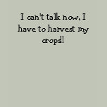 I can't talk now, I have to harvest my crops!! Shirt