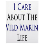 I Care About The Wild Marine Life Letterhead