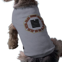 I Ching Hexagram 43 Kuai "Breakthrough" Pet Clothing