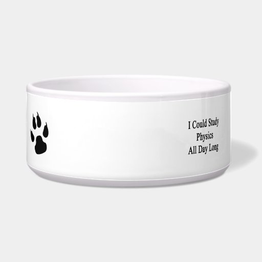 I Could Study Physics All Day Long Dog Water Bowls