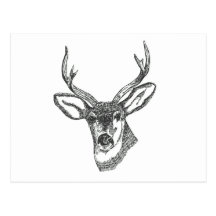 I’d Rather be in my Tree Stand Postcard