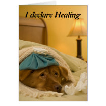 I declare Healing Cards