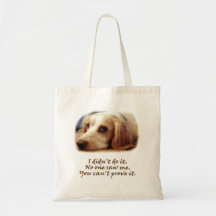 I Didn't Do It Bags