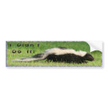 I Didn't Do It! Bumper Sticker