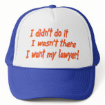 I didn't do it.... hat