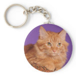 I didn't do it keychain