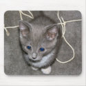 I didn't do it Mousepad by digitalplayhouse I didn't do it Mousepad