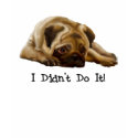 I Didn't Do It! Pug Tees for Kids t-shirts