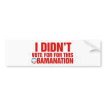 I Didn't note for this obamanation Bumper Sticker
