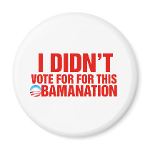 I Didn't note for this obamanation Refrigerator Magnets