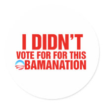 I Didn't note for this obamanation Stickers
