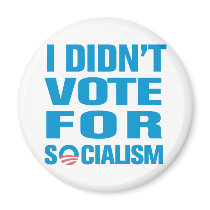 I Didn't Vote For Socialism magnets