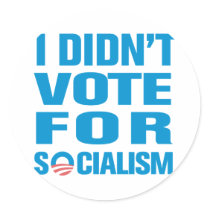 I Didn't Vote For Socialism stickers