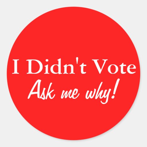 I Didn't Vote Sticker Set Zazzle