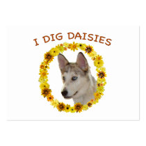 I Dig Daisies Ausky Dog Business Card