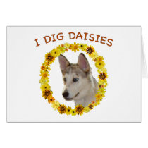 I Dig Daisies Ausky Dog Greeting Card
